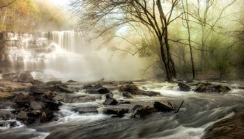 Waterfall Creek by Andy Amos art print