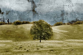 Tree in the Valley by Ynon Mabat art print