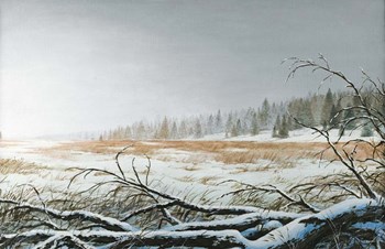 Snowy Morning by Bruce Nawrocke art print