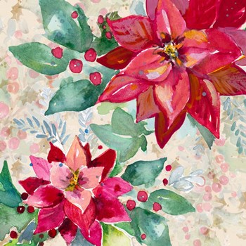 Holiday Poinsettia II by Patricia Pinto art print