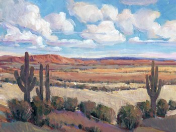 Desert Heat I by Timothy O&#39;Toole art print