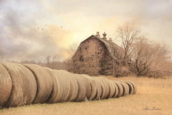 Good Day on the Farm by Lori Deiter art print