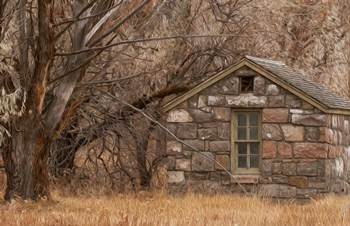 Stone Cabin by Larry McFerrin art print