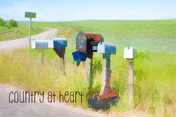 Country at Heart by Ramona Murdock art print