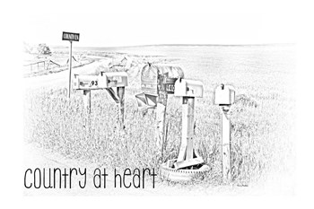 Country at Heart by Ramona Murdock art print