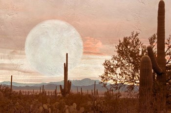 Desert Twilight by Ramona Murdock art print