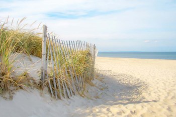 Sandy Neck by Brooke T. Ryan art print