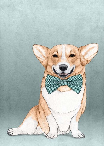 Corgi Dog by Barruf art print