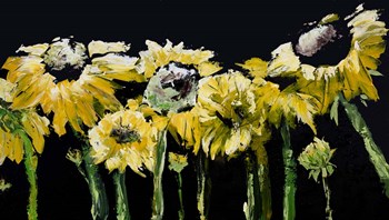 Sunflower Field on Black by Marcy Chapman art print