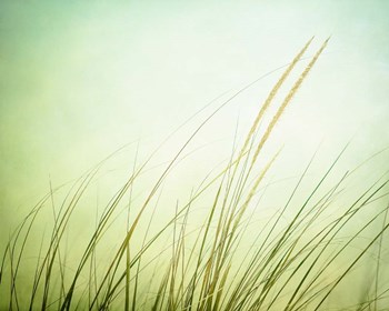 Just Breathe by Carolyn Cochrane art print