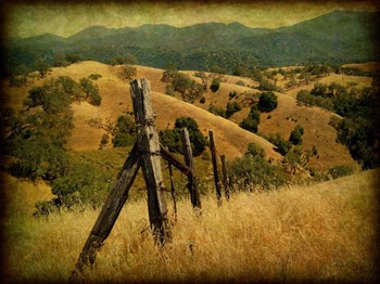 Weathered Ranch Fence by William Guion art print
