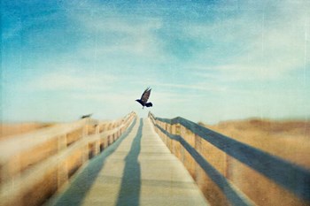 Fly by Dawn Hanna art print