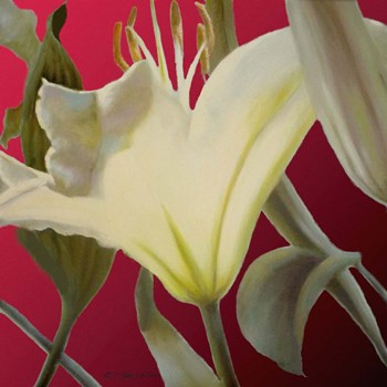 Lily Red by Jan McLaughlin art print