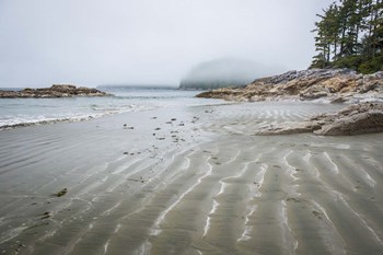 Tonquin Beach by Tim Oldford art print