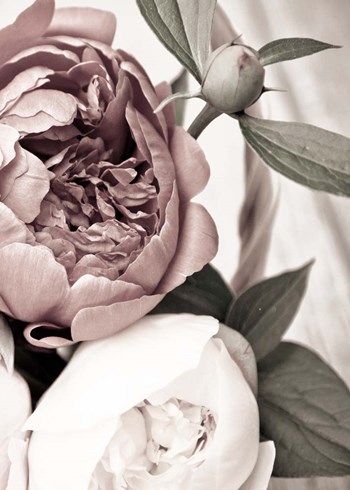 Opulent 2 by Design Fabrikken art print