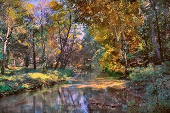 Autumn in the Afternoon by John Rivera art print