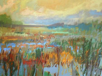 Marsh in May by Jane Schmidt art print