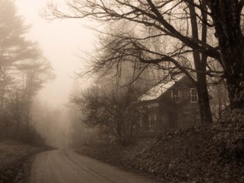 Parish Hill Road by Christine Triebert art print