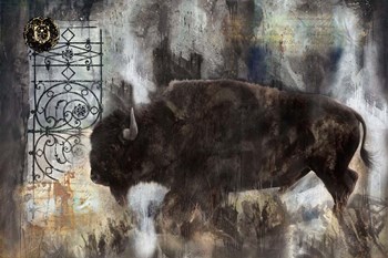 Buffalo by Marta Wiley art print