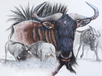 Wildebeest by Barbara Keith art print