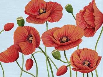 Poppy Topple III by Grace Popp art print