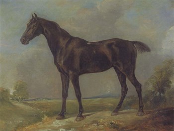 Golding Constable&#39;s Black Riding-Horse by John Constable art print