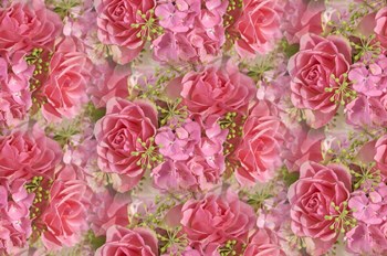 Pink Roses and Hydrangea by Cora Niele art print