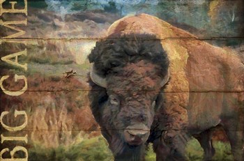 Big Game Bison by Cora Niele art print