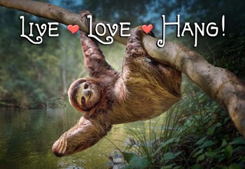Live Love Hang by Evie Cook art print