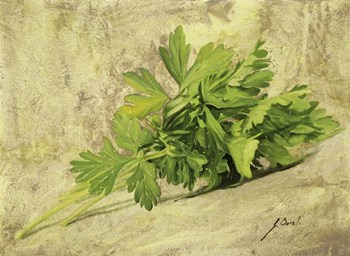 Prezzemolo by Guido Borelli art print