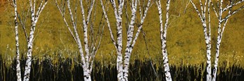 Betulle A Sfondo Giallo by Guido Borelli art print