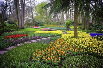Colorful Corner Keukenhof Tulips Garden 4 by Jenny Rainbow Fine Art art print