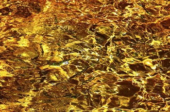Golden Water Abstract by Jenny Rainbow Fine Art art print