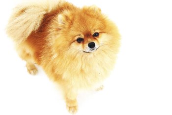 I am Here by Jenny Rainbow Fine Art art print