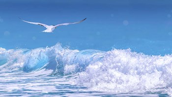 Gull In The Waves by Jonathan Ross art print