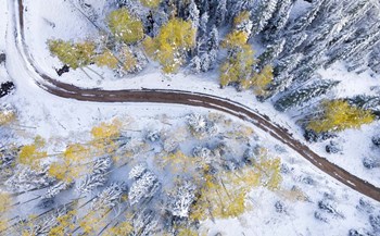 Snowmass Road by Jonathan Ross art print