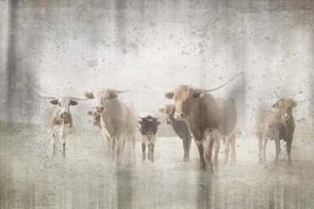 Antique Farm 12 by LightBoxJournal art print