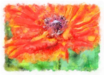 Ms Poppy by Tina Lavoie art print