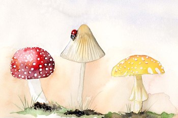 Faerie Mushrooms I by Alicia Ludwig art print
