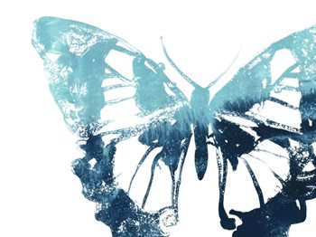 Butterfly Imprint I by June Erica Vess art print