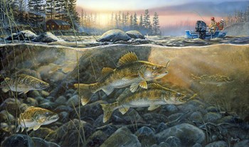 Walleyes On The Rocks by Terry Doughty art print