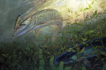 Phantom Muskie by Terry Doughty art print