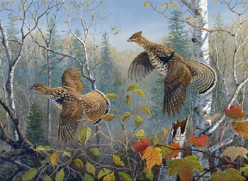 October Wings by Terry Doughty art print