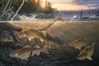 Walleye In The Wood by Terry Doughty art print