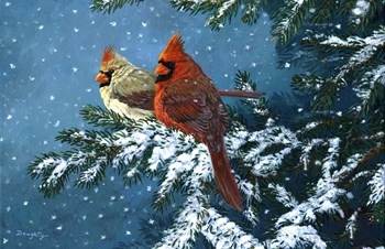 Sharing The Season - Cardinals by Terry Doughty art print