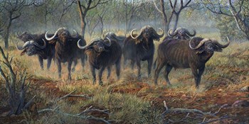 Cape Buffalo by Terry Doughty art print