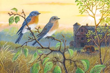 True Blue Bluebird by Terry Doughty art print