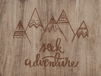 Seek Adventure by Jaxn Blvd art print