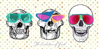 The Evolution of Funk by Steven Hill art print