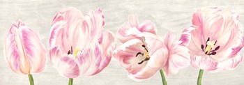Classic Tulips by Jenny Thomlinson art print